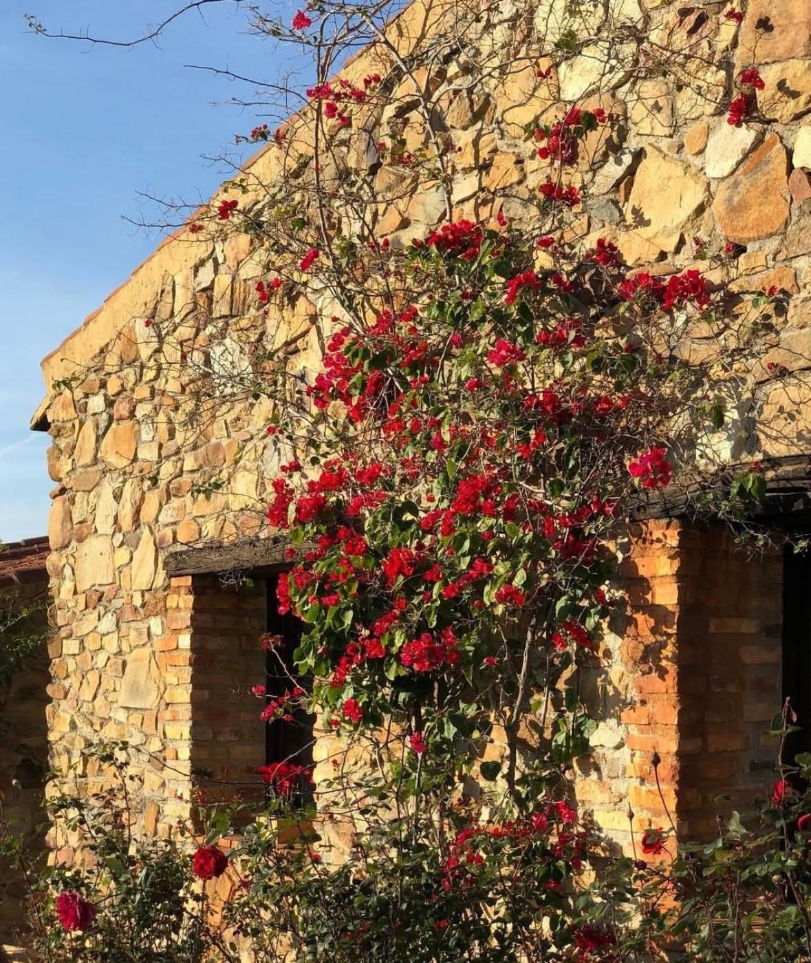 Finca Los Caleros Juan Gallegos Екстер'єр фото