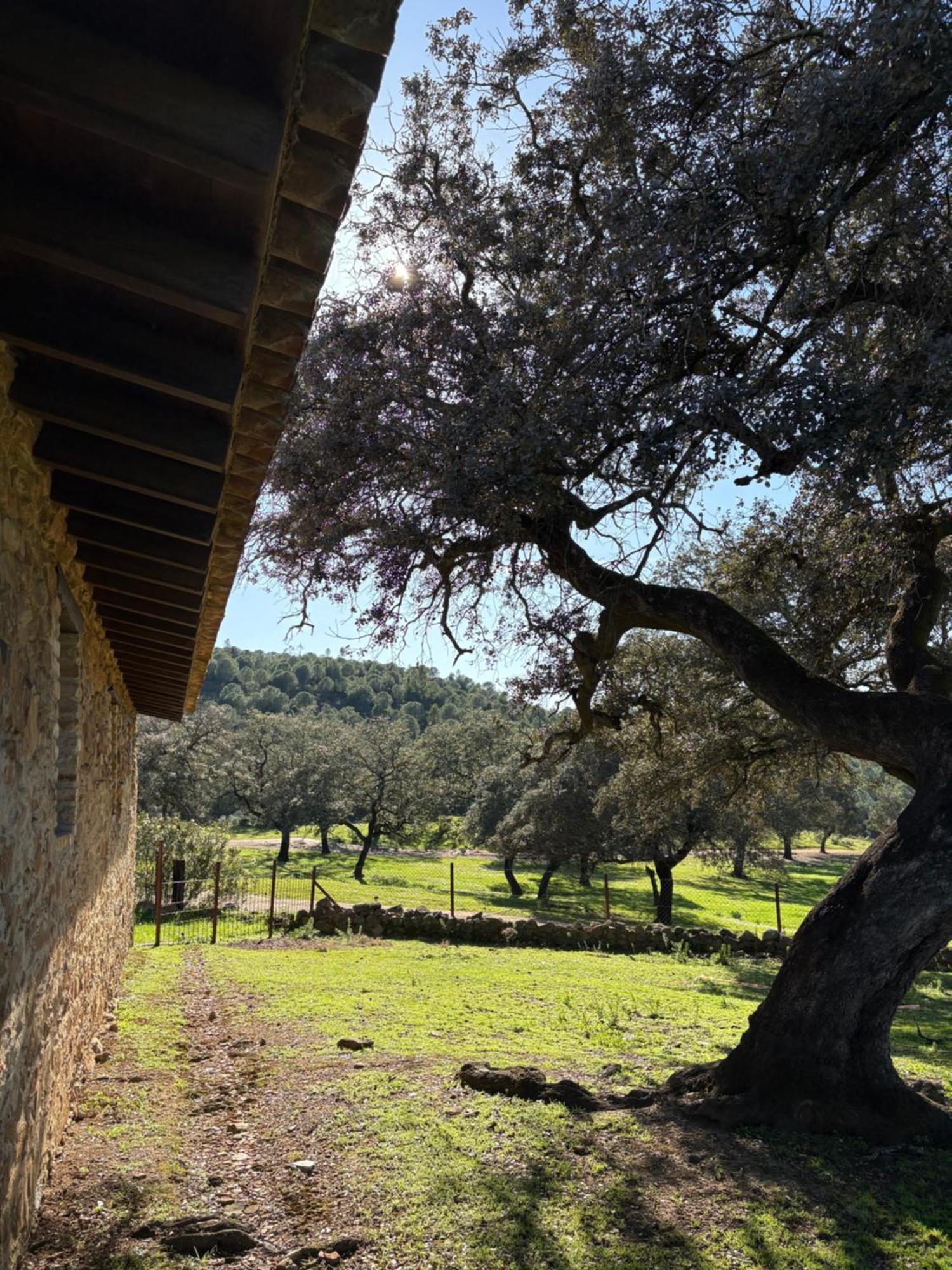 Finca Los Caleros Juan Gallegos Екстер'єр фото