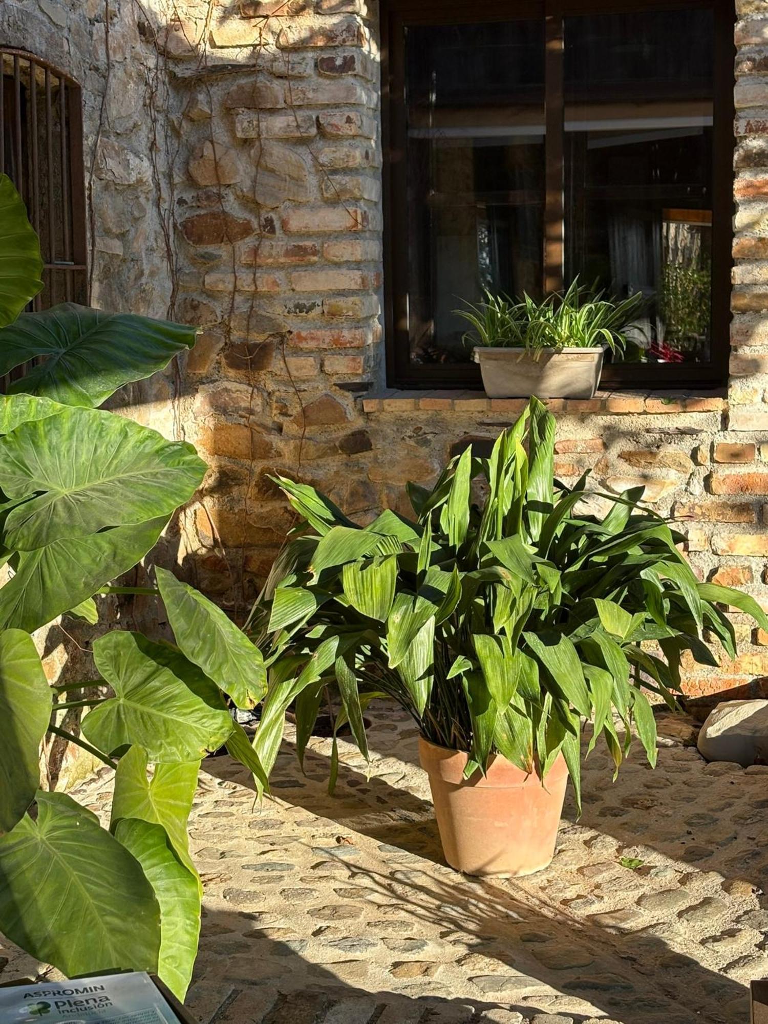 Finca Los Caleros Juan Gallegos Екстер'єр фото